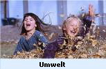 Umwelt